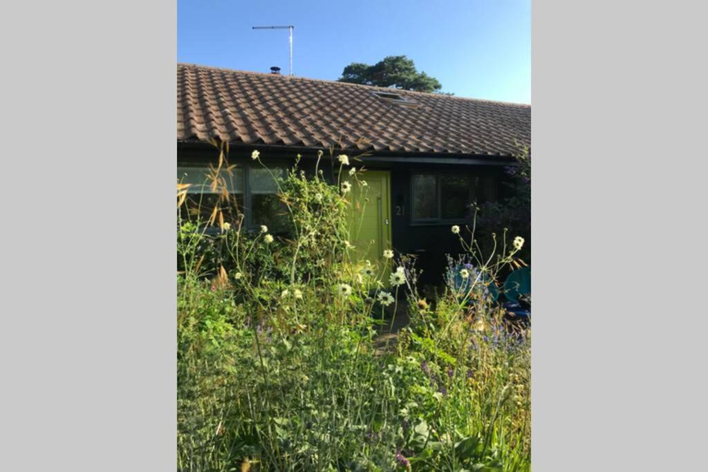 The Yellow Door Whitstable - Peaceful Retreat Close To Beach المظهر الخارجي الصورة